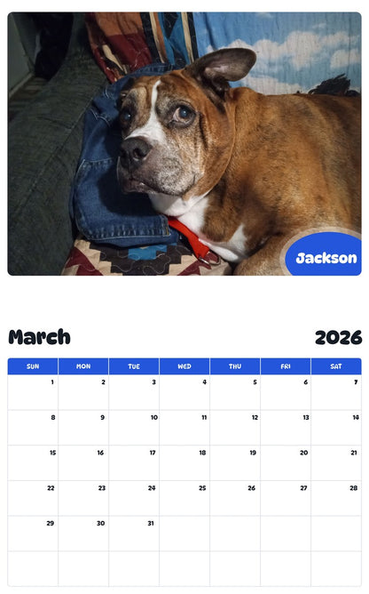 November 2025 - October 2026 Jackson - Pawidols Pet Calendar