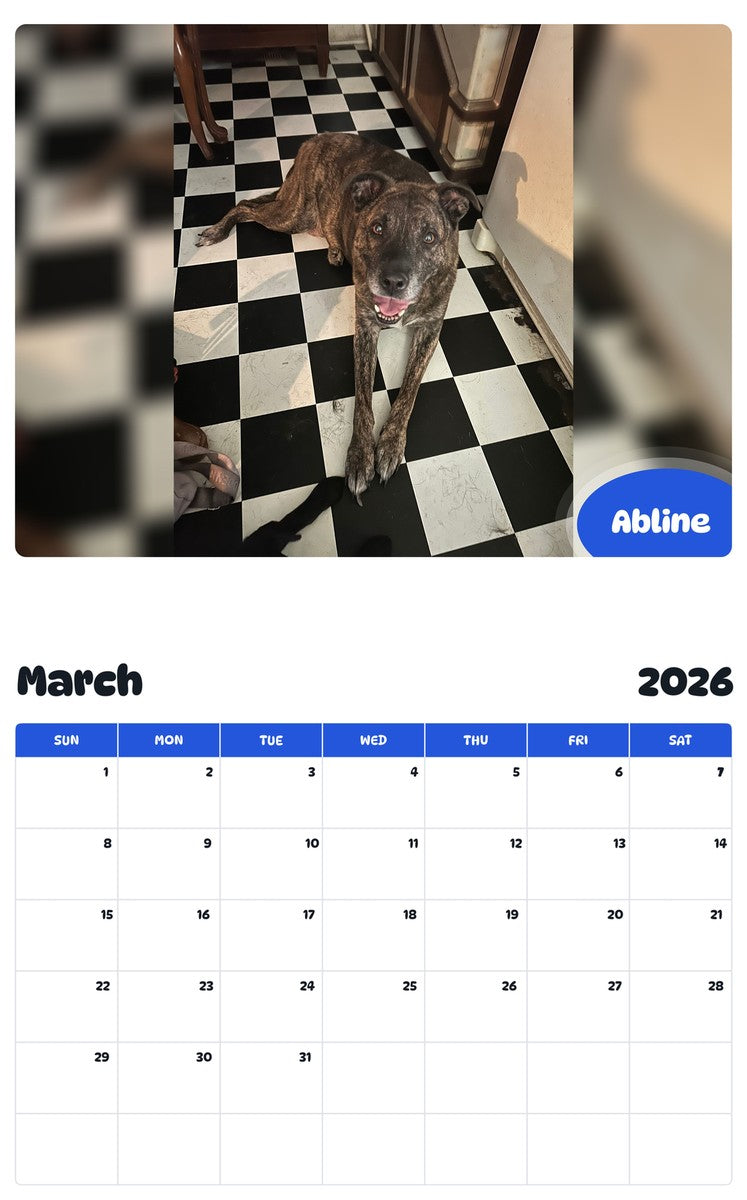 November 2025 - October 2026 Abline - Pawidols Pet Calendar