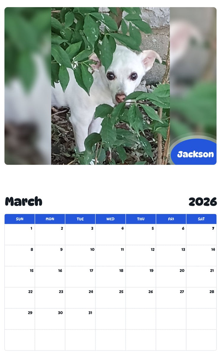 November 2025 - October 2026 Jackson - Pawidols Pet Calendar