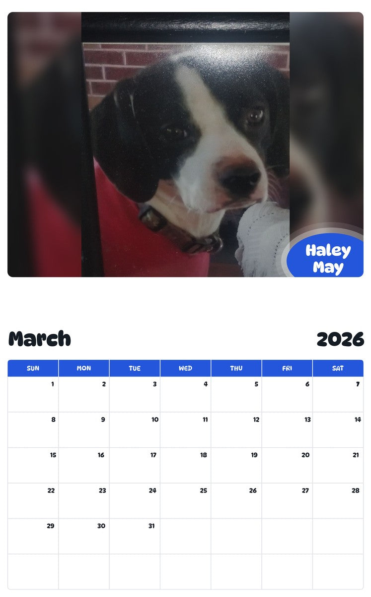November 2025 - October 2026 Haley May - Pawidols Pet Calendar