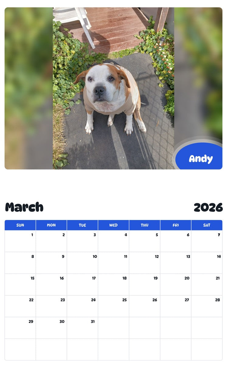 November 2025 - October 2026 Andy - Pawidols Pet Calendar