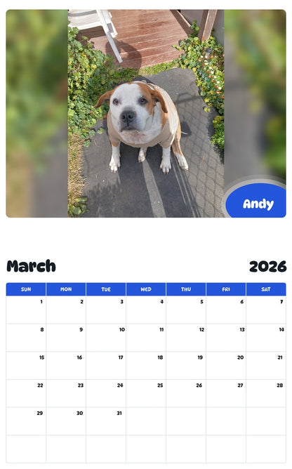 November 2025 - October 2026 Andy - Pawidols Pet Calendar