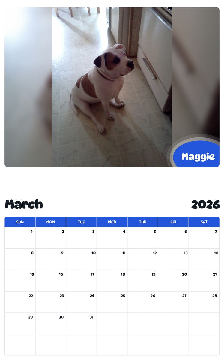 November 2025 - October 2026 Maggie - Pawidols Pet Calendar