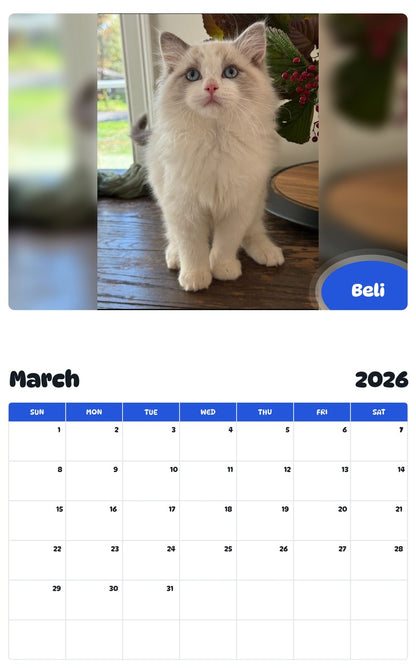 November 2025 - October 2026 Beli - Pawidols Pet Calendar
