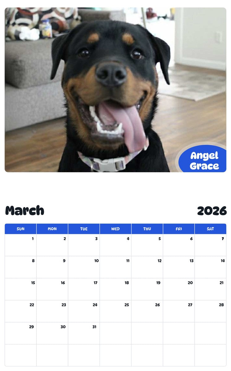 November 2025 - October 2026 Angel Grace - Pawidols Pet Calendar