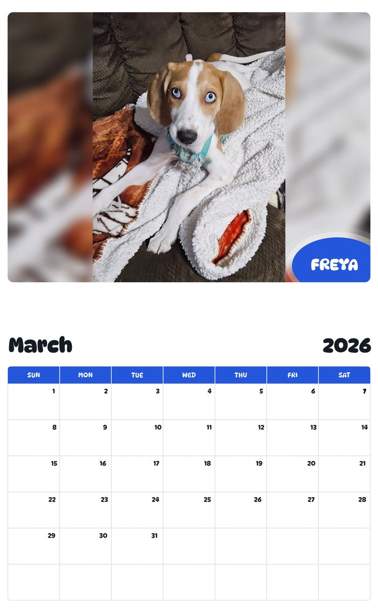November 2025 - October 2026 FREYA - Pawidols Pet Calendar