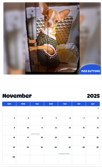 July 2025 - June 2026 Miss Buttons - Pawidols Pet Calendar