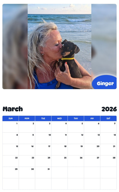 November 2025 - October 2026 Ginger - Pawidols Pet Calendar