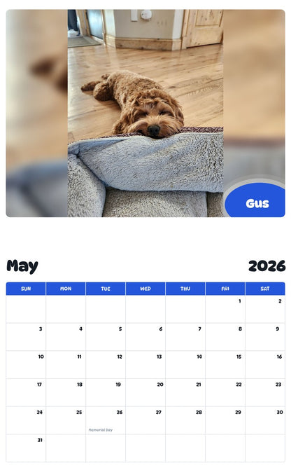 2026 - 2027 Gus - Pawidols Pet Calendar