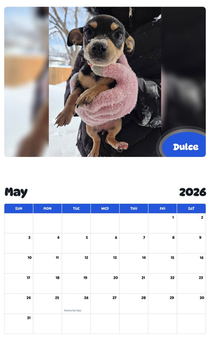 2026 - 2027 Dulce - Pawidols Pet Calendar