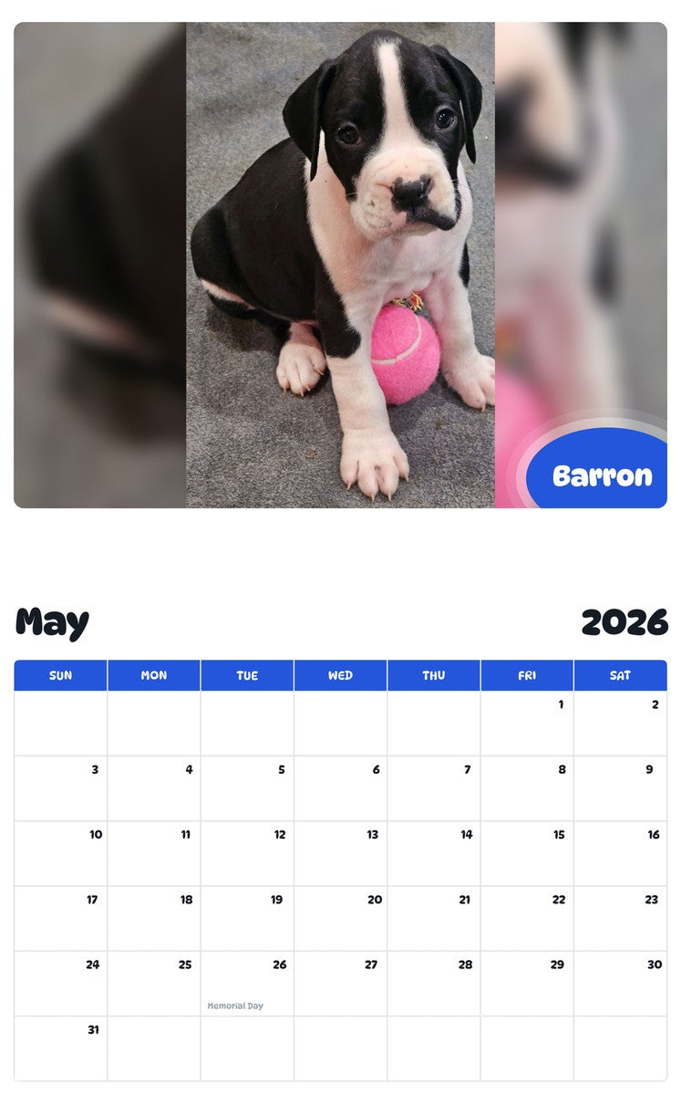2026 - 2027 Barron - Pawidols Pet Calendar