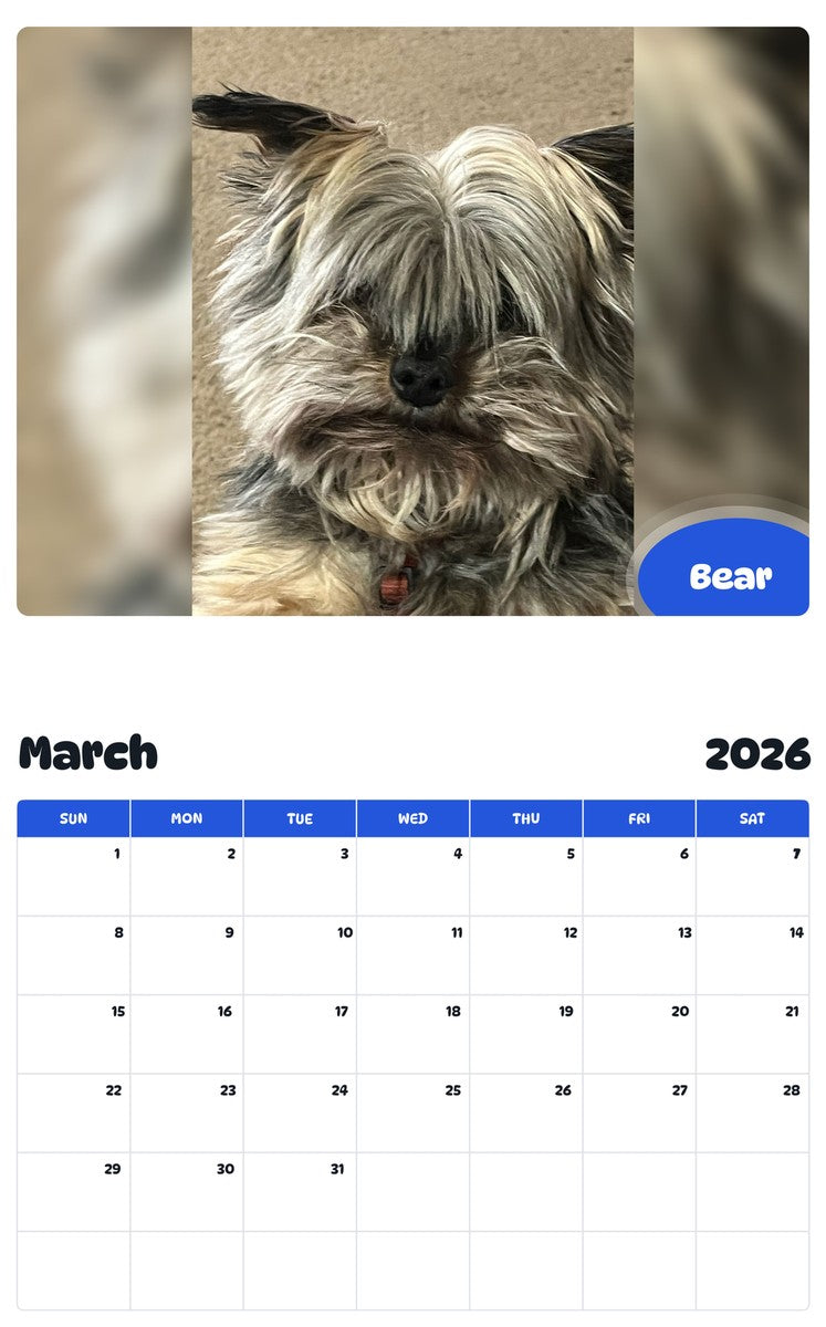 November 2025 - October 2026 Bear - Pawidols Pet Calendar