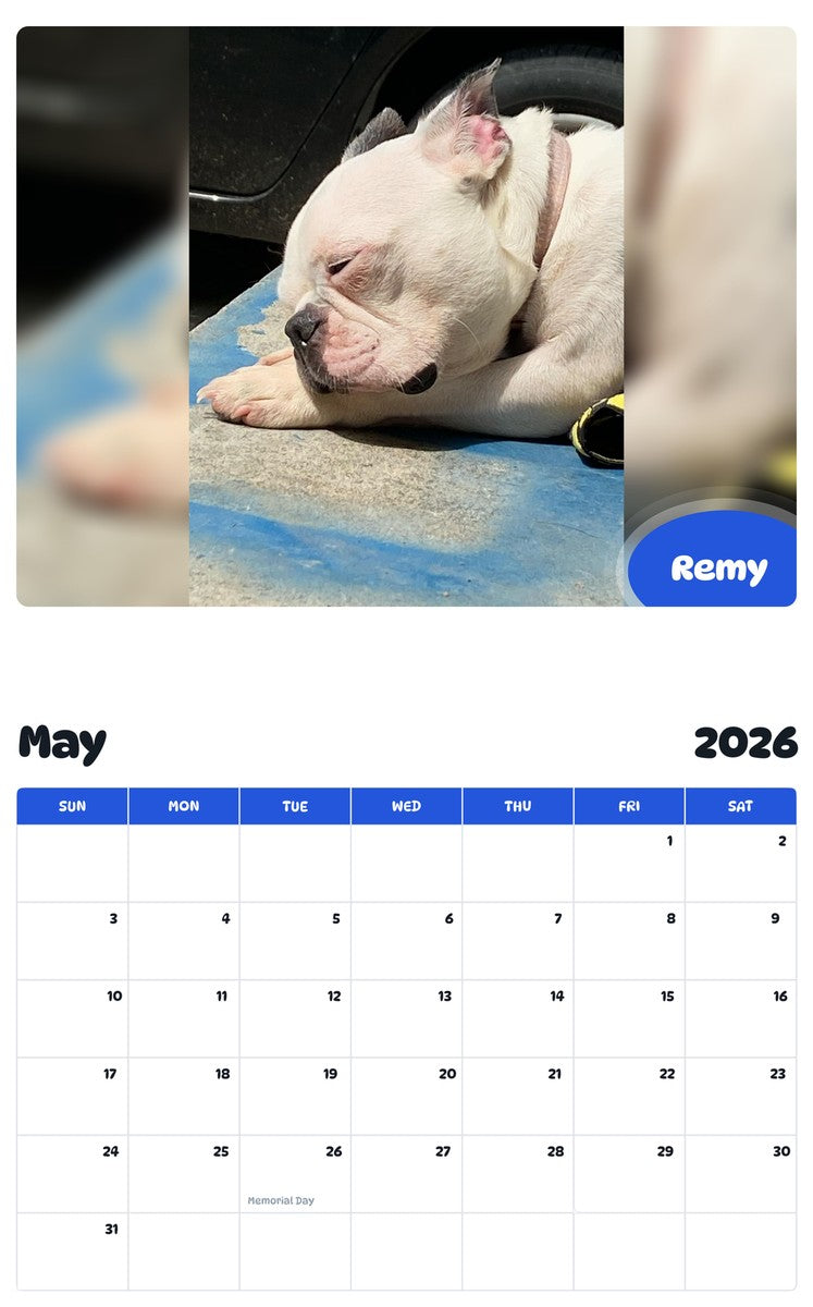 2026 - 2027 Remy - Pawidols Pet Calendar
