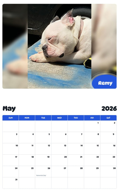 2026 - 2027 Remy - Pawidols Pet Calendar