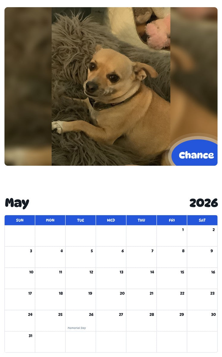 2026 - 2027 Chance - Pawidols Pet Calendar
