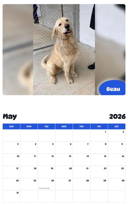 2026 - 2027 Beau - Pawidols Pet Calendar