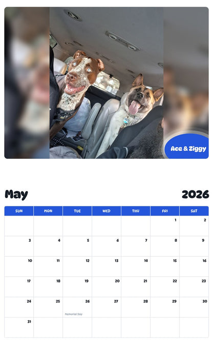 2026 - 2027 Ace & Ziggy - Pawidols Pet Calendar