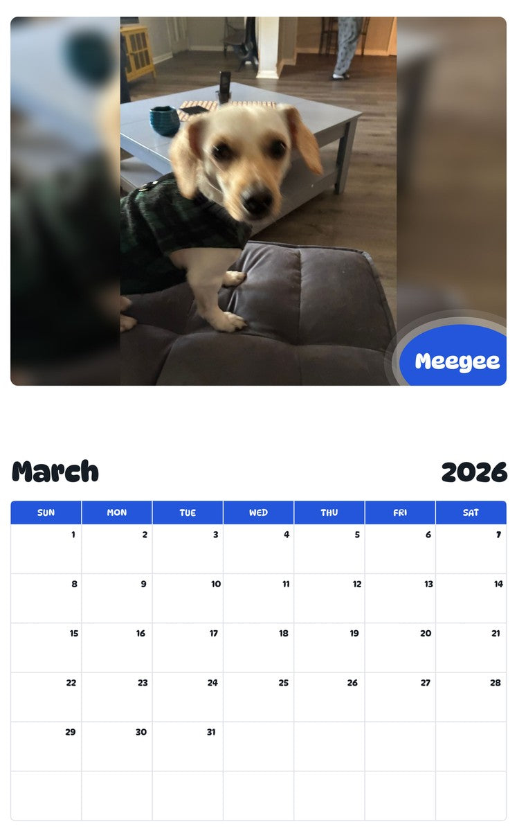 November 2025 - October 2026 Meegee - Pawidols Pet Calendar