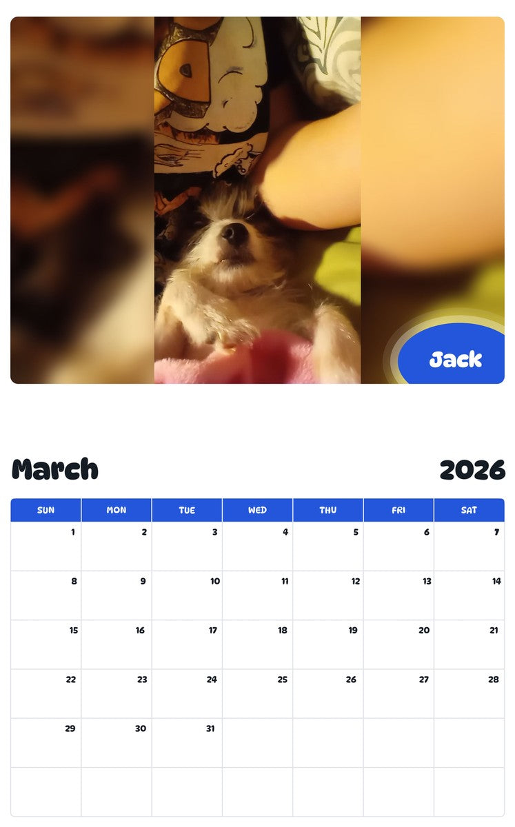 November 2025 - October 2026 Jack - Pawidols Pet Calendar