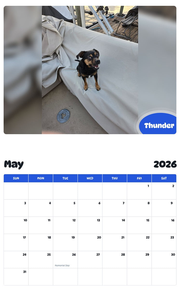 2026 - 2027 Thunder - Pawidols Pet Calendar