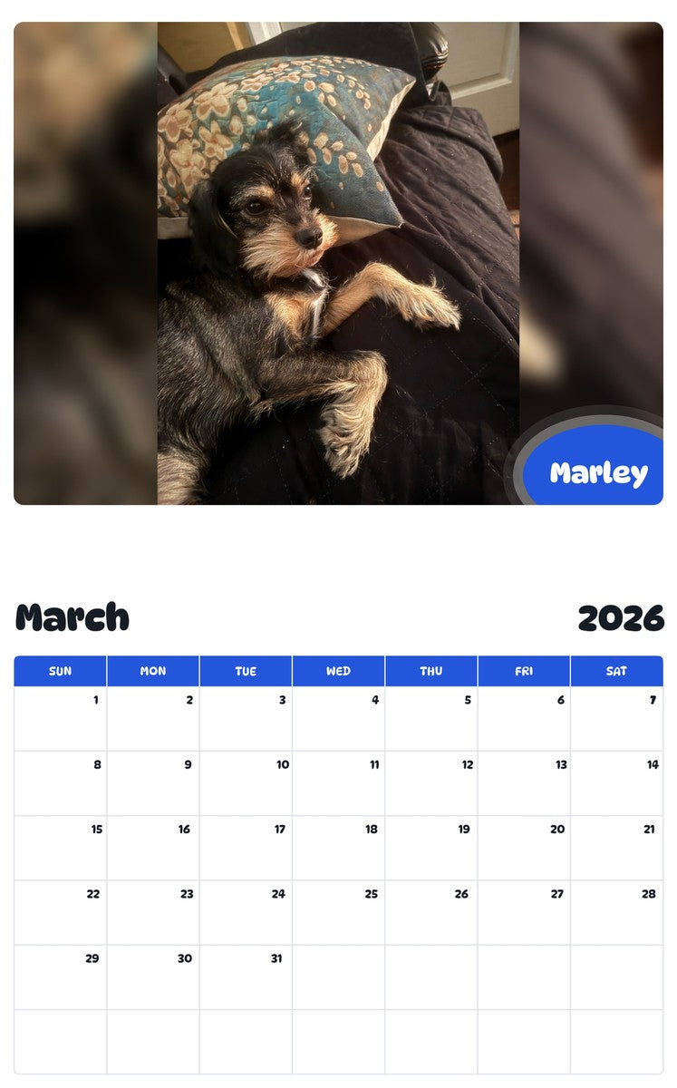 November 2025 - October 2026 Marley - Pawidols Pet Calendar