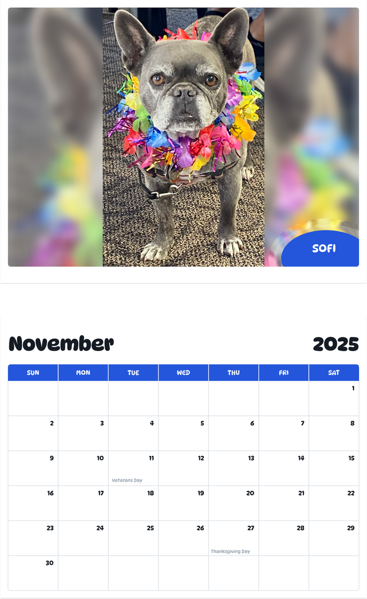 July 2025 - June 2026 Sofi - Pawidols Pet Calendar
