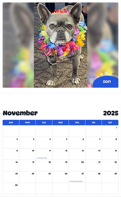 July 2025 - June 2026 Sofi - Pawidols Pet Calendar