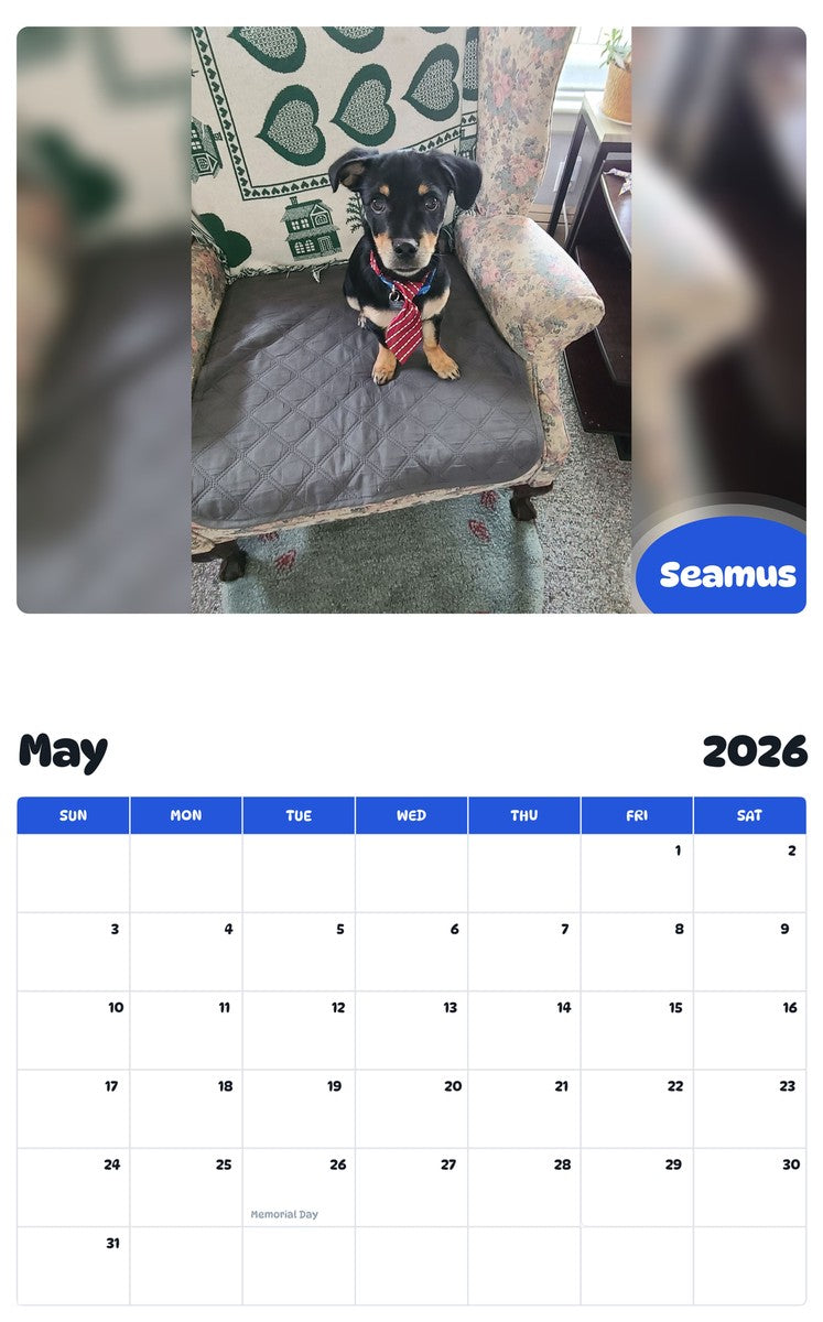 2026 - 2027 Seamus - Pawidols Pet Calendar