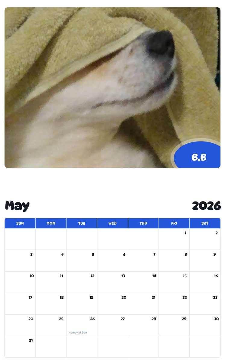 2026 - 2027 B.B - Pawidols Pet Calendar