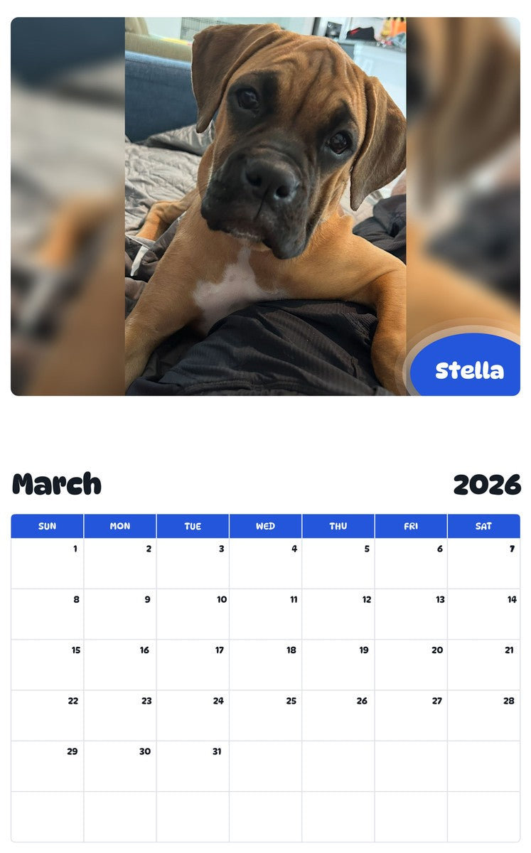 November 2025 - October 2026 Stella - Pawidols Pet Calendar