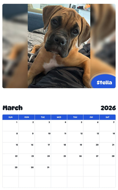 November 2025 - October 2026 Stella - Pawidols Pet Calendar