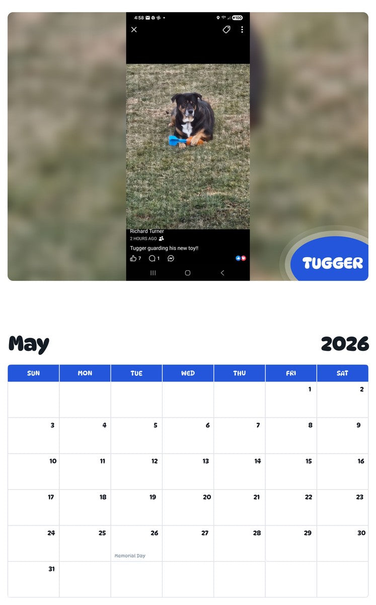 2026 - 2027 TUGGER - Pawidols Pet Calendar