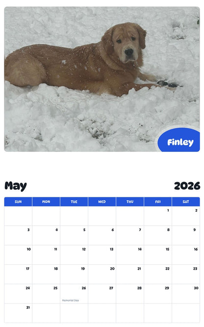 2026 - 2027 Finley - Pawidols Pet Calendar