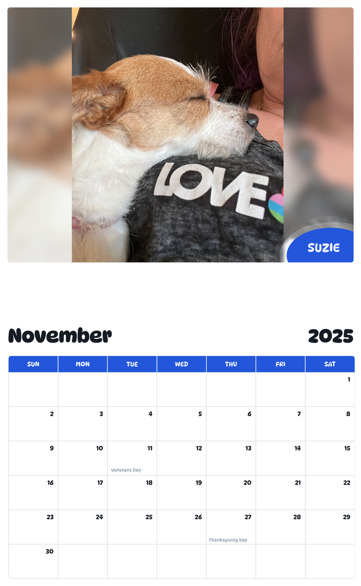July 2025 - June 2026 Suzie - Pawidols Pet Calendar