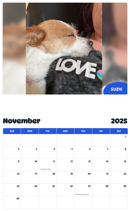 July 2025 - June 2026 Suzie - Pawidols Pet Calendar