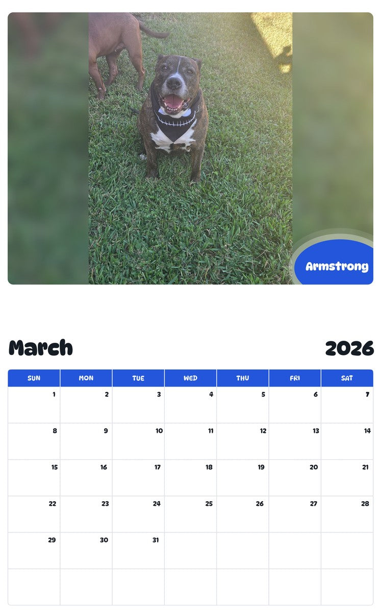 November 2025 - October 2026 Armstrong - Pawidols Pet Calendar