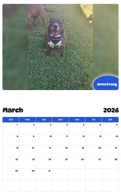 November 2025 - October 2026 Armstrong - Pawidols Pet Calendar