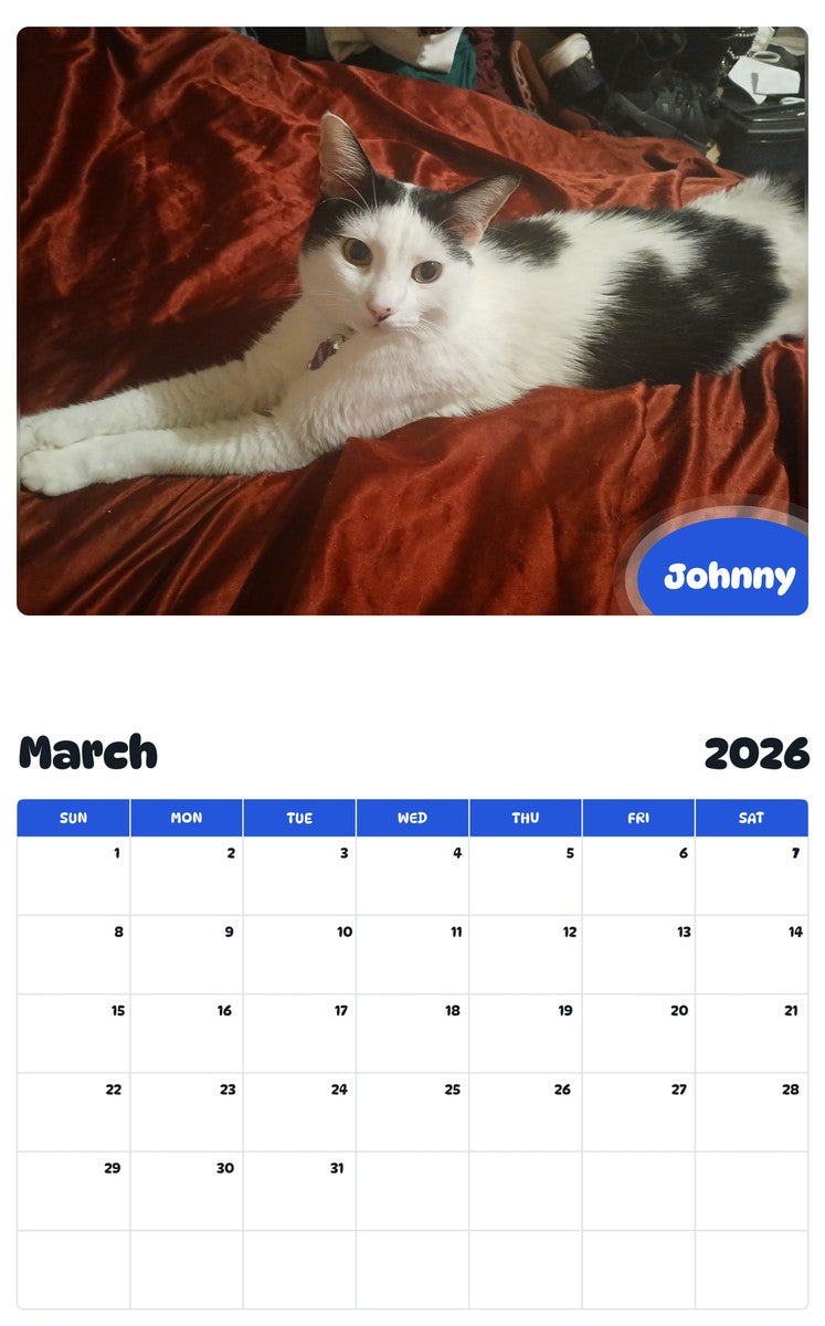 November 2025 - October 2026 Johnny - Pawidols Pet Calendar