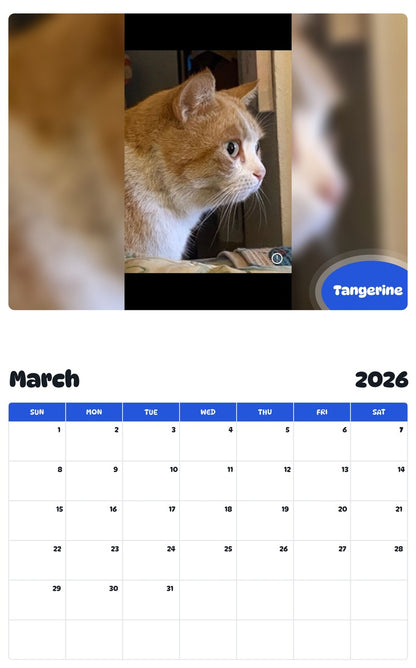 November 2025 - October 2026 Tangerine - Pawidols Pet Calendar