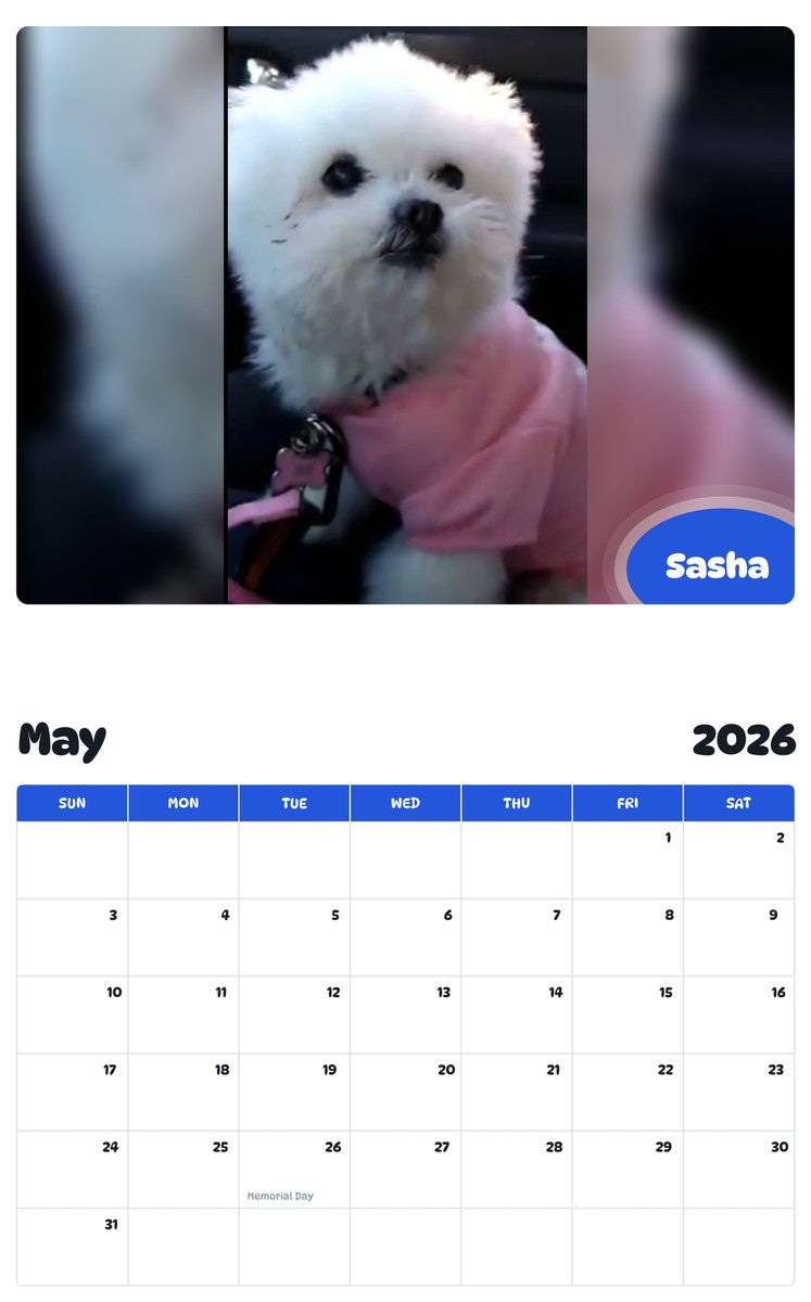 2026 - 2027 Sasha - Pawidols Pet Calendar