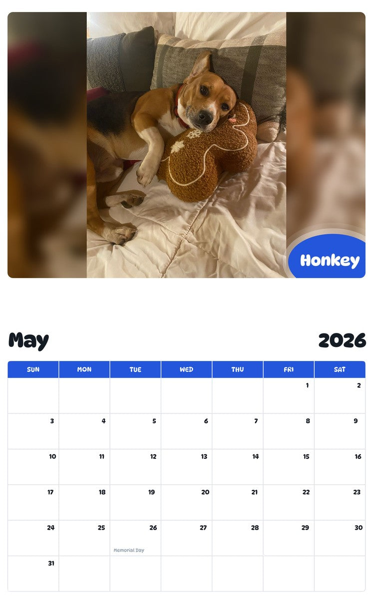 2026 - 2027 Honkey - Pawidols Pet Calendar