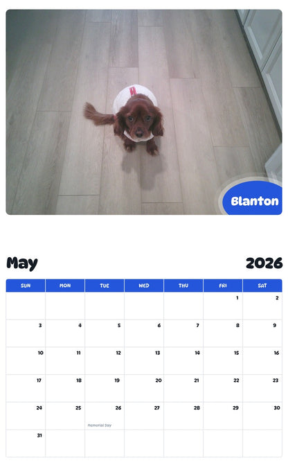 2026 - 2027 Blanton - Pawidols Pet Calendar