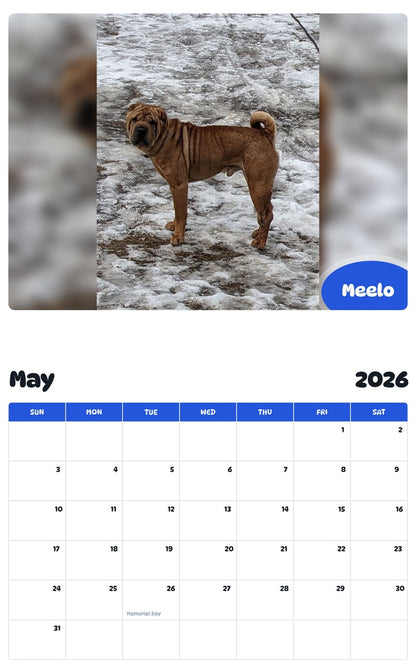 2026 - 2027 Meelo - Pawidols Pet Calendar