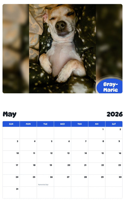 2026 - 2027 Bray-Marie - Pawidols Pet Calendar