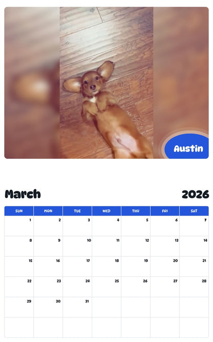 November 2025 - October 2026 Austin - Pawidols Pet Calendar