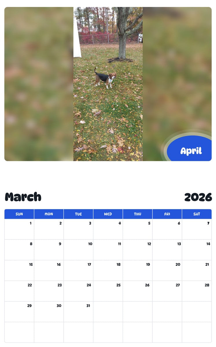 November 2025 - October 2026 April - Pawidols Pet Calendar