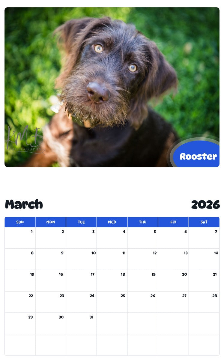 November 2025 - October 2026 Rooster - Pawidols Pet Calendar