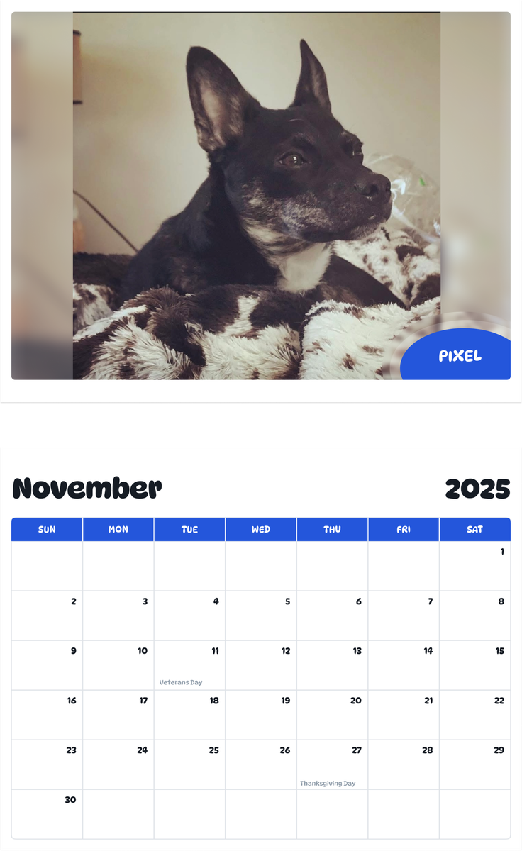 July 2025 - June 2026 Pixel - Pawidols Pet Calendar