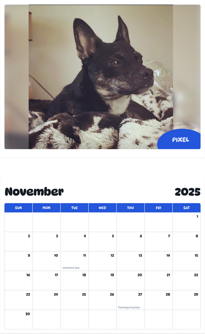 July 2025 - June 2026 Pixel - Pawidols Pet Calendar