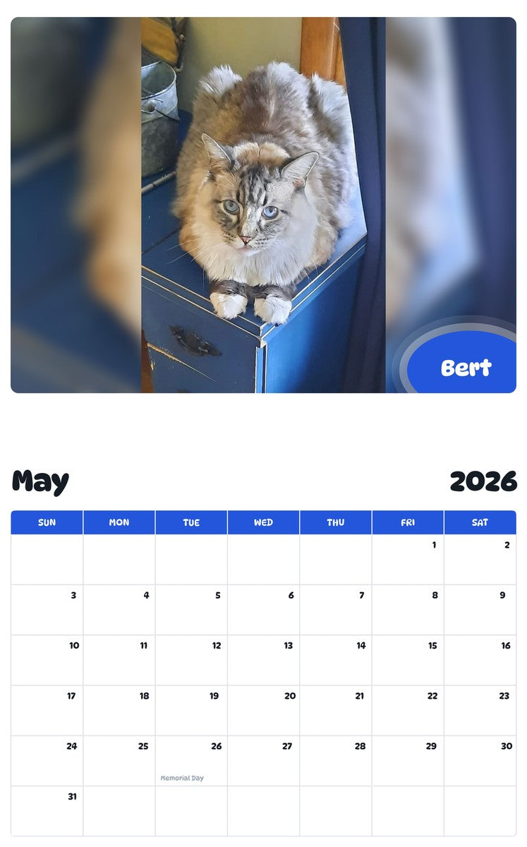 2026 - 2027 Bert - Pawidols Pet Calendar